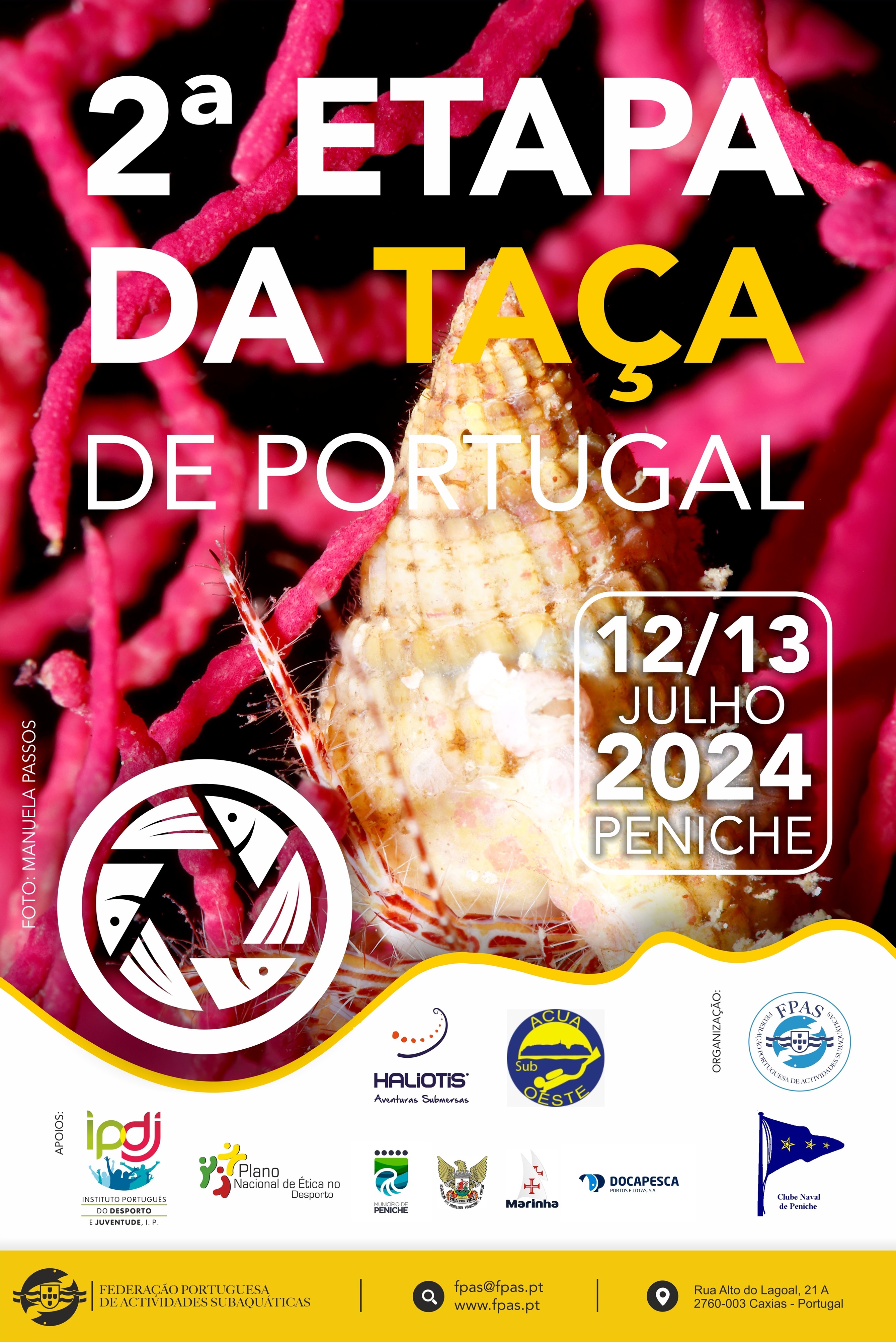 Cartaz_2Etapa_Taça_Portugal_Foto_Video_2024.jpg